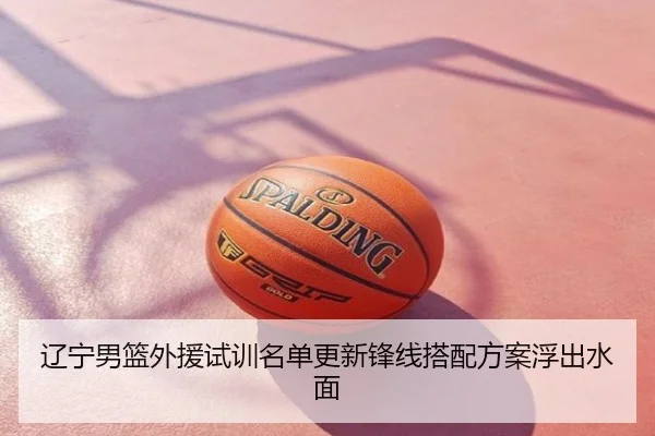 辽宁男篮外援试训名单更新锋线搭配方案浮出水面