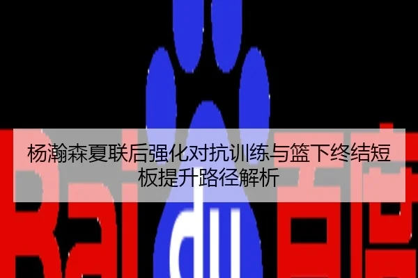 杨瀚森夏联后强化对抗训练与篮下终结短板提升路径解析