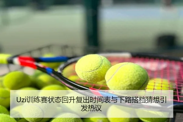 Uzi训练赛状态回升复出时间表与下路搭档猜想引发热议